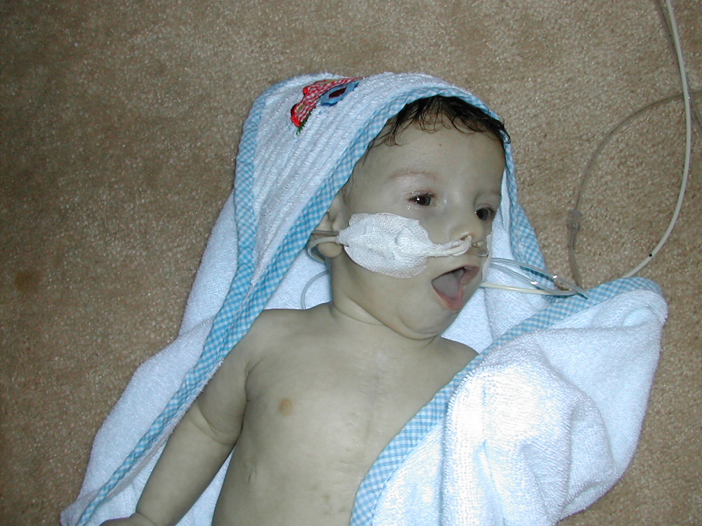 1002x745 pixels (312K)